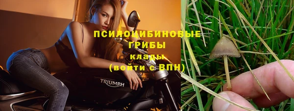 скорость Богородицк